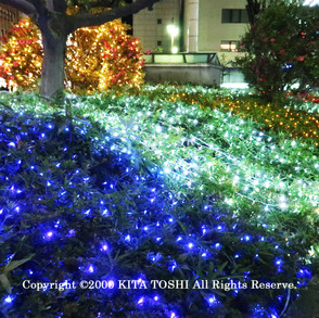 illuminations-designer-work-ibar14-kita-toshi