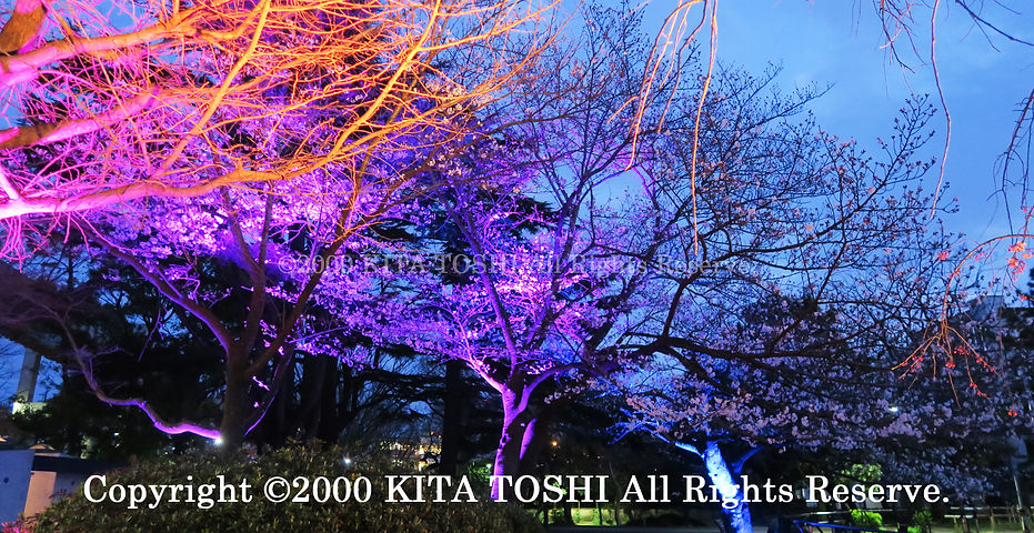 Light-up designer KITA TOSHI's design work ChiB-2 (lighting designer)