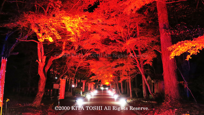 2000_LightupDesigner-Y10_KITATOSHI.jpg
