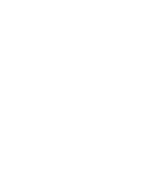 MMGE LLC logo palma-06.png