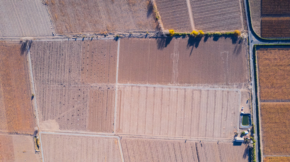 DJI_0619