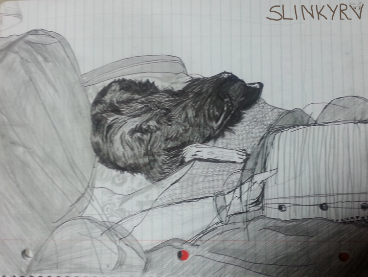 2010_slinkyrv_kilikcollielie