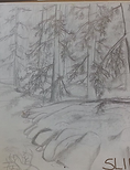 _For2012_04_22_SlinkyrvforestIce.png