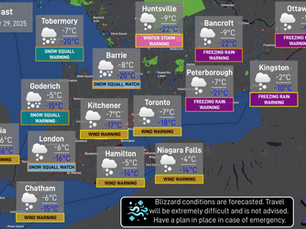 Daily Forecast: December 29, 2025