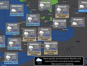 Daily Forecast: November 10, 2025