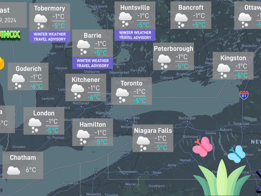 Daily Forecast: March 19, 2024