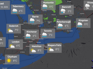 Daily Forecast: November 23, 2025