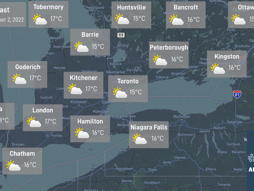 Daily Forecast: November 2, 2022