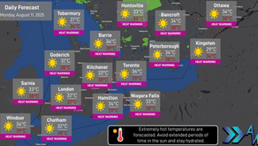 Daily Forecast: August 11, 2025