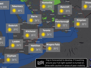 Daily Forecast: September 12, 2025