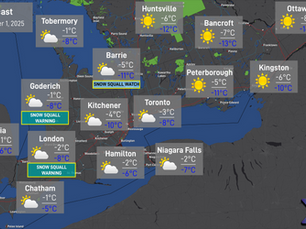 Daily Forecast: December 1, 2025