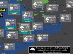 Daily Forecast: December 31, 2025