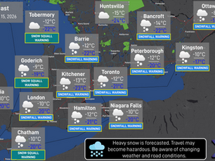 Daily Forecast: January 15, 2026