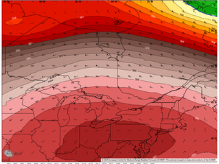 Heat Wave Expected to Begin This Weekend