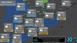 Daily Forecast: November 26, 2025