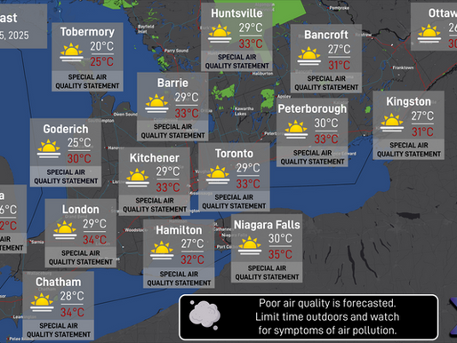 Daily Forecast: August 5, 2025