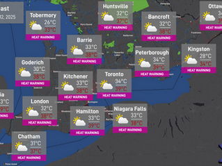 Daily Forecast: August 12, 2025