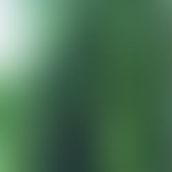 1st class to release