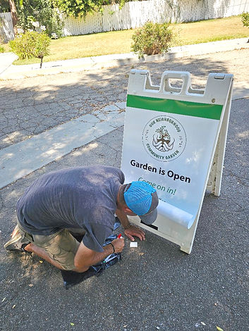 Garden - overgrown 40_edited.jpg