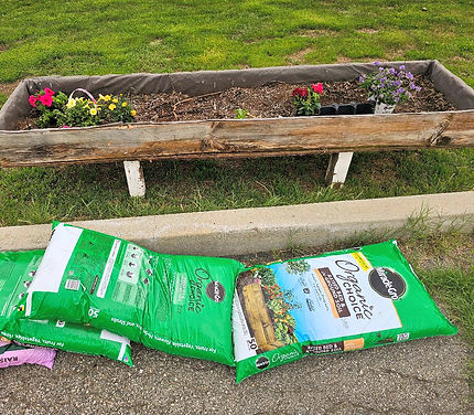 Garden - Overgrown 20_edited.jpg