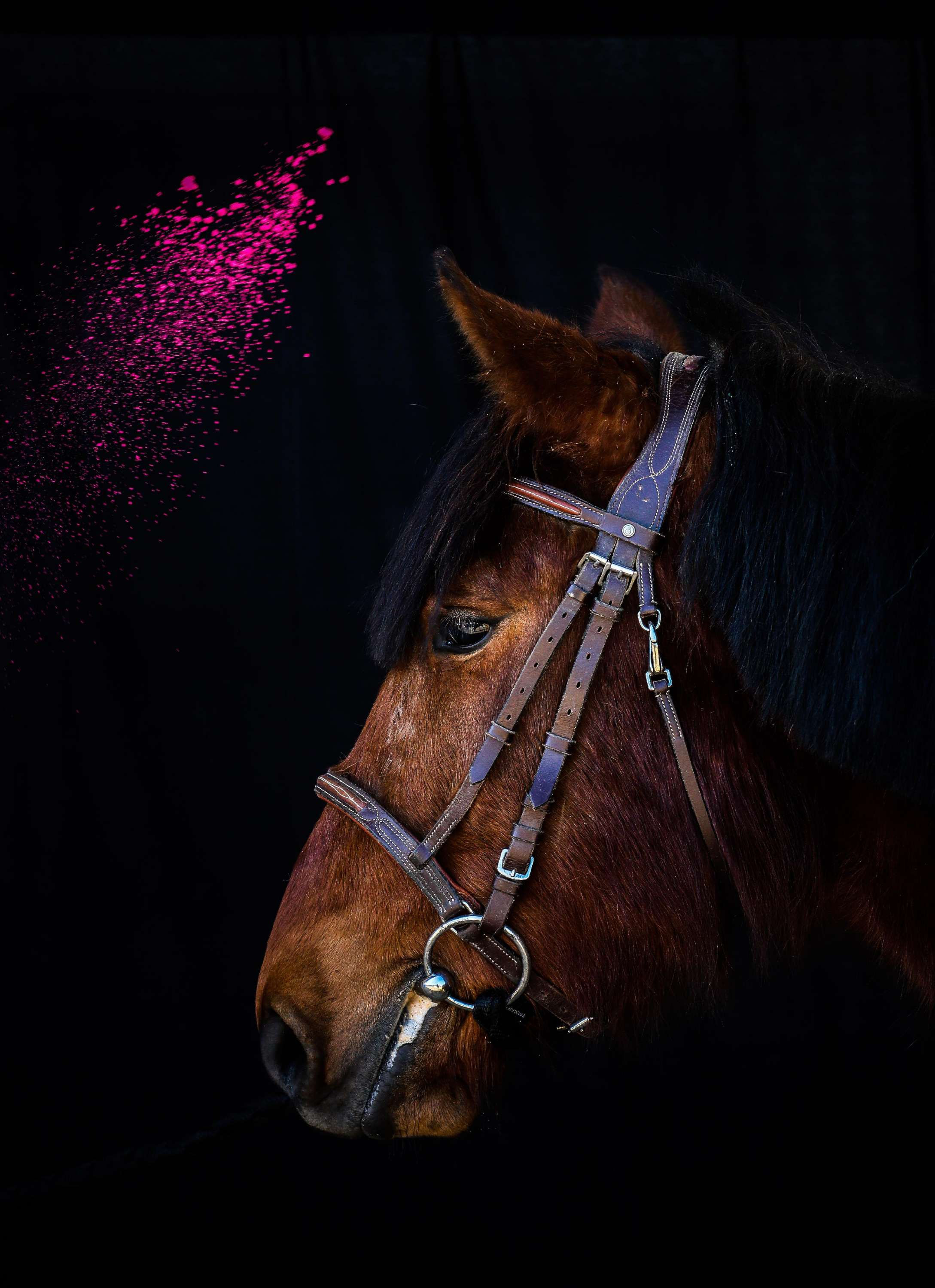 Shooting photo avec fond noir 