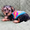Thumbnail: Yorkshire Terrier