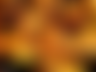 Japanese Chicken Wings