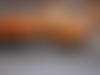 Follow the Plow Truck