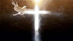 DPM Cross and Dove GIF.gif