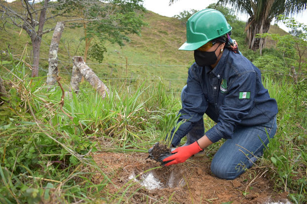 PREPARACIÓN DE TERRENO Y SIEMBRA DE PLANTAS
