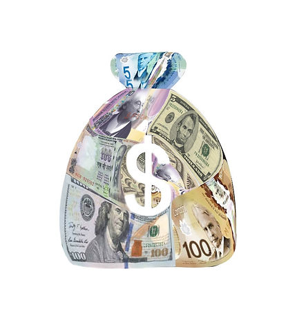 flat-icon-in-black-and-white-money-bag-v