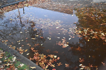 DSC_0006.JPG