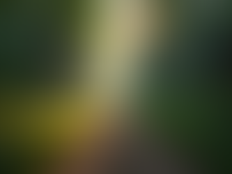 Finding Clarity in Life, Love, and Career