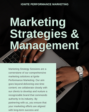 Marketing Strategies and Managment.png