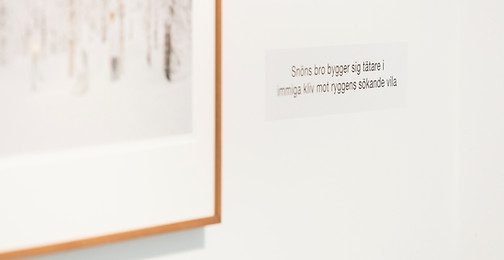 _60A8770.jpg