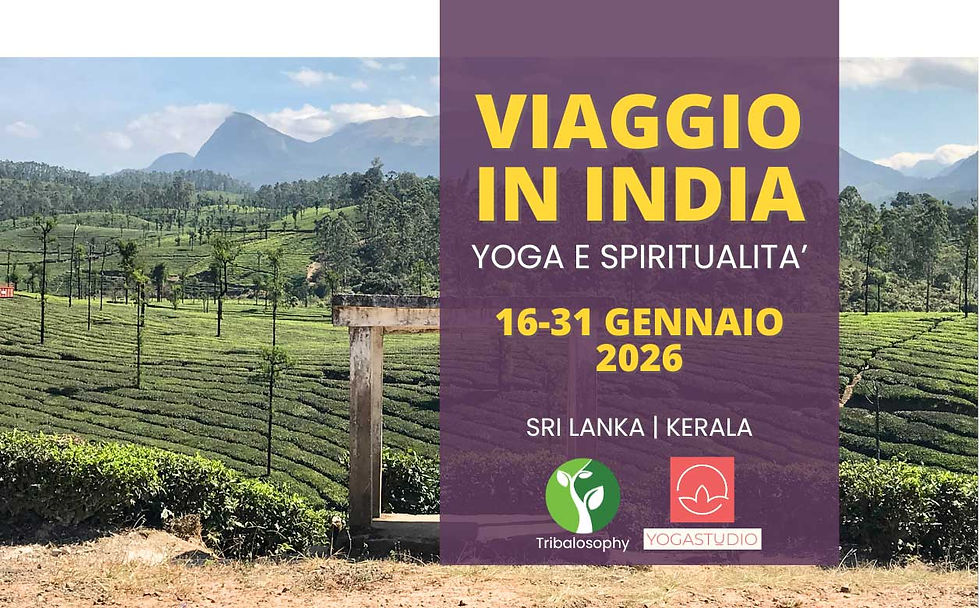 VIAGGIO SRI LANKA E INDIA GENNAIO 2026