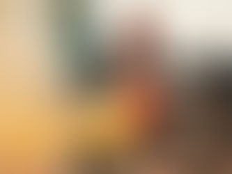 Sex Party And Lies (2009) DvDRip Rmvb 335MB