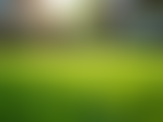 Top Lawn Care Tips for Kansas City Residents