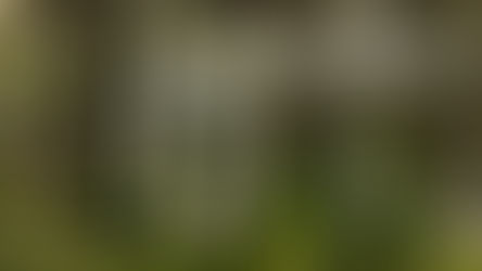 Eden Gardens State Park, Santa Rosa Beach