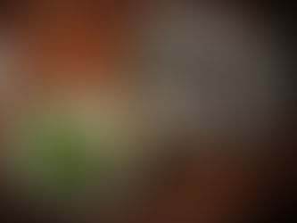 How to Give your guinea Pig A Bath