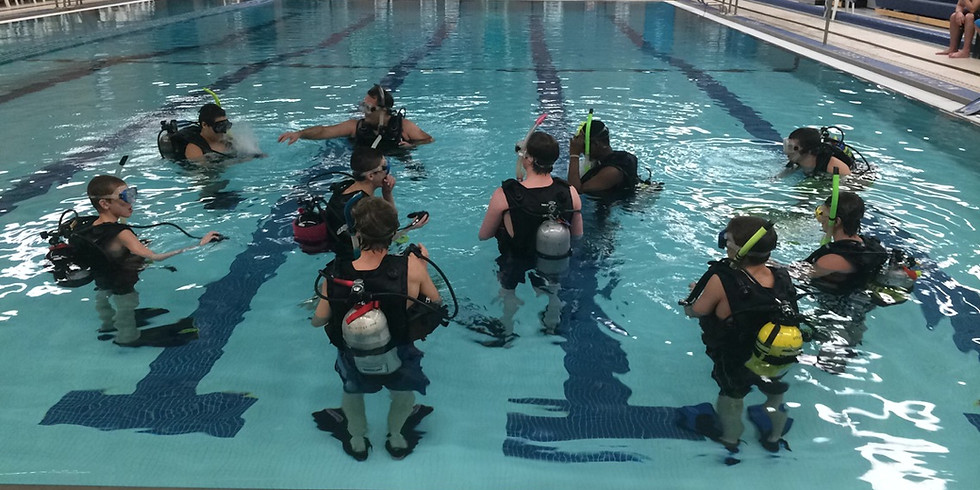 Try/Discover SCUBA, March 27, 2019