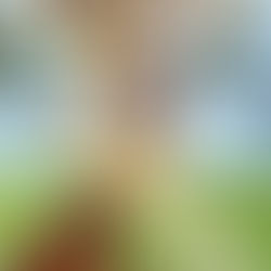 LeMoyne Arts Presents The Nature of Kinship & Its Artful Connections Featuring Mifflin Hollyday, Alexa Kleinbard, Mark Messersmith & Lilian Garcia Roig