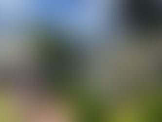 DAN TAYLOR ADDS A POP OF GLIMMER AND COLOR TO LEMOYNE GARDEN