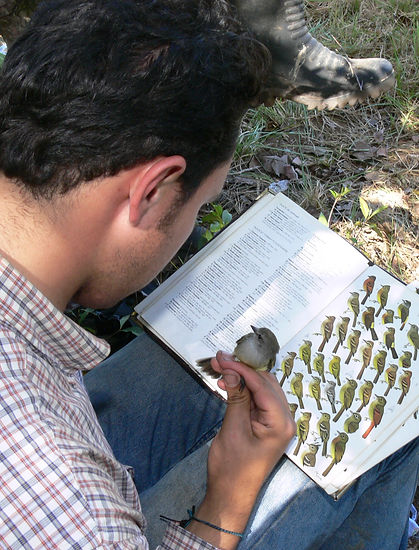 Asesoría y Consultoría Ambiental