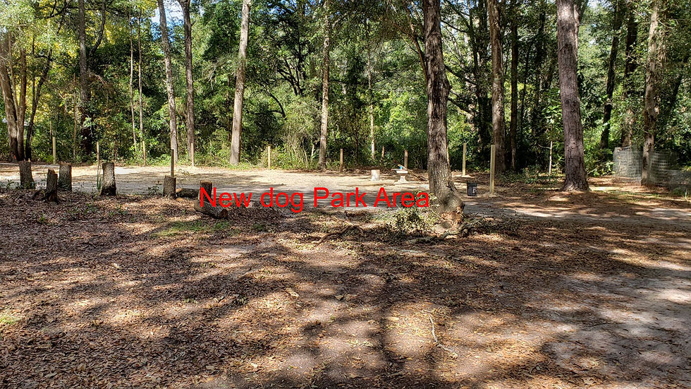 trees, posts that outline an area where a dog park is being installed