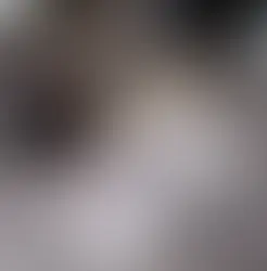 Nurturing Childhood for Lifelong Success: Insights from Western Heights Montessori