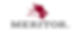 meritor.png