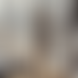 Creative director reviews branding mockups