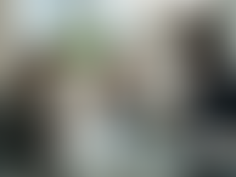 Team discussing branding strategy in corner office