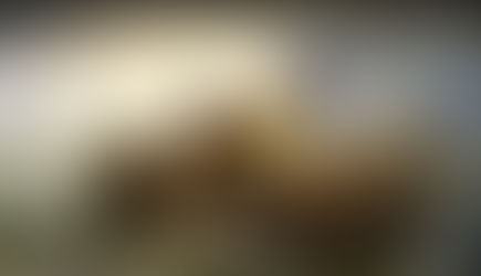 President Trump Arizona Rally